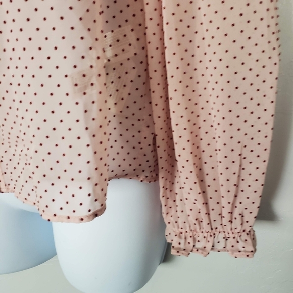 Zara Women's Small Sheer Light Pink Long Sleeve Blouse Red Velvet Polka Dots Top - Picture 9 of 9